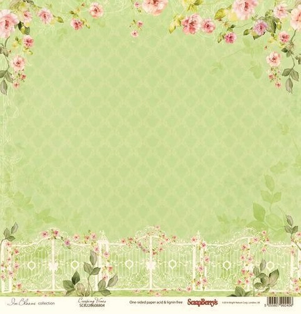 Papier do scrapbookingu jednostronny 30,5 x 30,5 cm IN BLOOM 12 szt. ScrapBerry`s